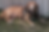 Untitled design (3).png