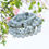 Thumbnail: Gemstone bracelets near a flowering plant