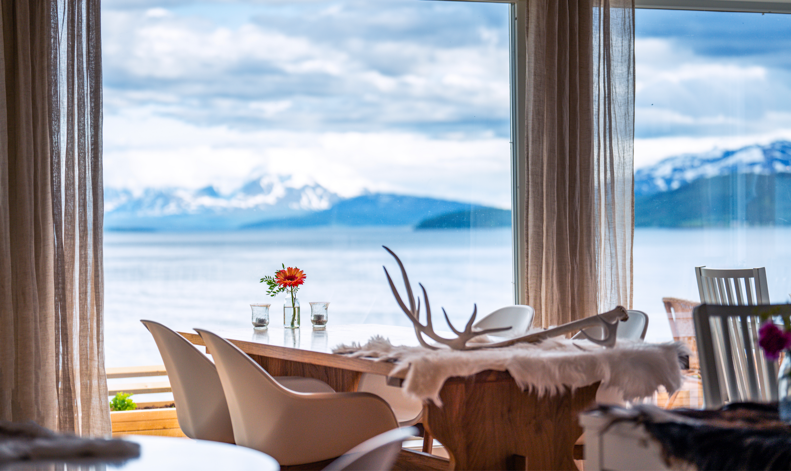 Arranged Food and Objects