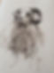 20190315_114933.jpg