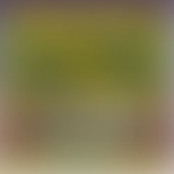 [Avis] La White Widow Haze de Stormrock