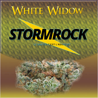 [Avis] La White Widow Haze de Stormrock