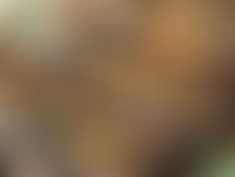 Was sind die besten Schweizer CBD-Hasch Sorten?