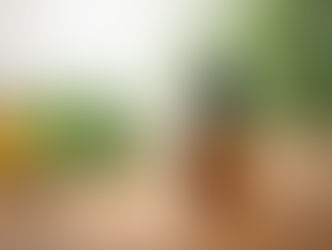 CBD und Diabetes – sachliche Lifestyle-Darstellung ohne Heilversprechen