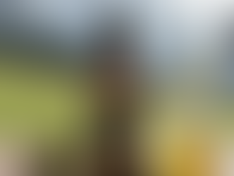 CBD Schweiz – Höchste Reinheit zu fairen Preisen