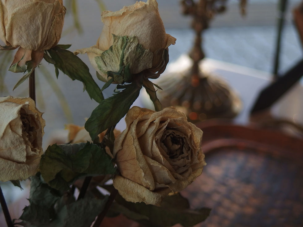 섬네일: ブラウントパーズ(オーバル)マグネットブレスレット