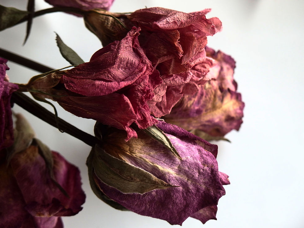 サムネイル： マルチ・ルビーとモザンビーク産ガーネット 4mm