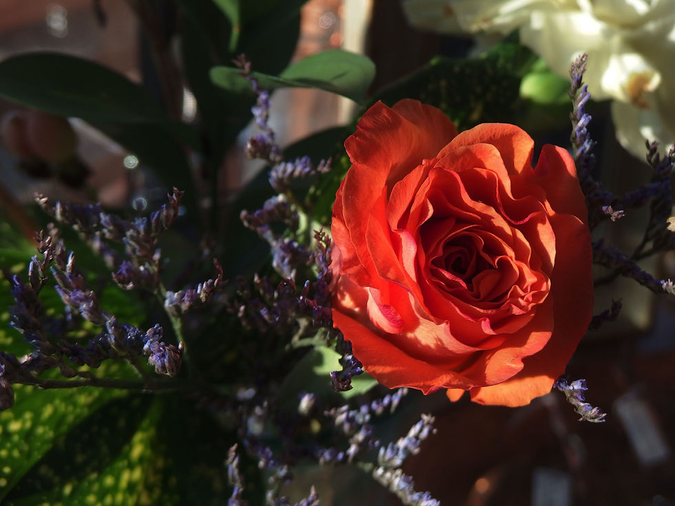 섬네일: タンザニア産サンストーン4mmとステンレス製一番星