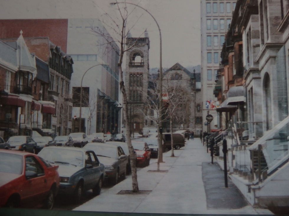 サムネイル： 希少・ブラックオーラライト23 【15mm】