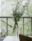 Flowers on a balcony