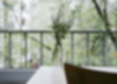 Flowers on a balcony