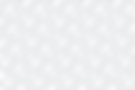Fondo