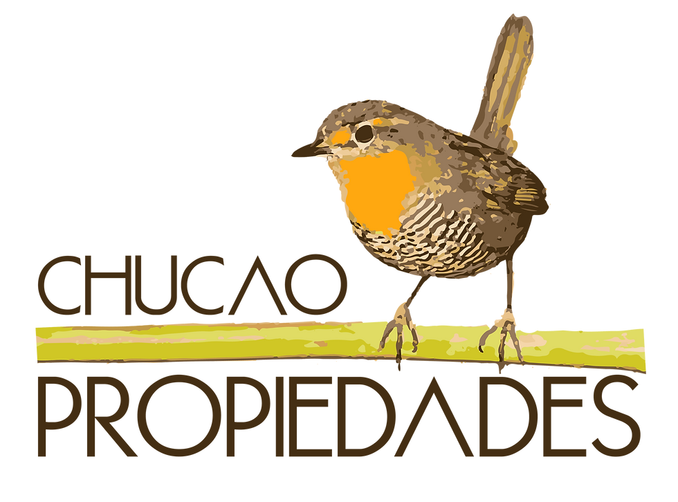 Miniatura: CHUCAO PROPIEDADES