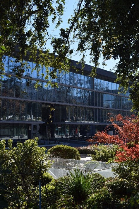 Miniatura: Pfister Ortodoncia