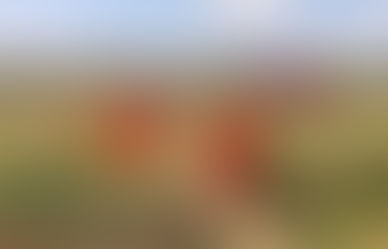 Le Laos Aujourd’hui : Tout Comprendre sur ce Pays d’Asie en Quelques Minutes