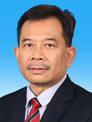 Prof Dr Ibrahim Mohamed
