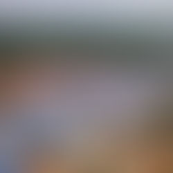 Shine Bright with Solar: Your Guide to Harnessing the Power of the Sun