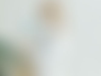 The image shows a healthcare professional in a white coat, wearing blue gloves and a stethoscope around their neck. They are adjusting the glove on one hand, suggesting preparation for a medical procedure or examination. The background includes a potted plant with green leaves and some dried flowers, adding a touch of warmth to the clinical setting. The scene conveys a sense of professionalism and readiness in a medical environment.