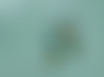 Vials with colorful labels and a syringe on a green background. Bottles labeled "vaccine" suggest a medical or vaccination theme.