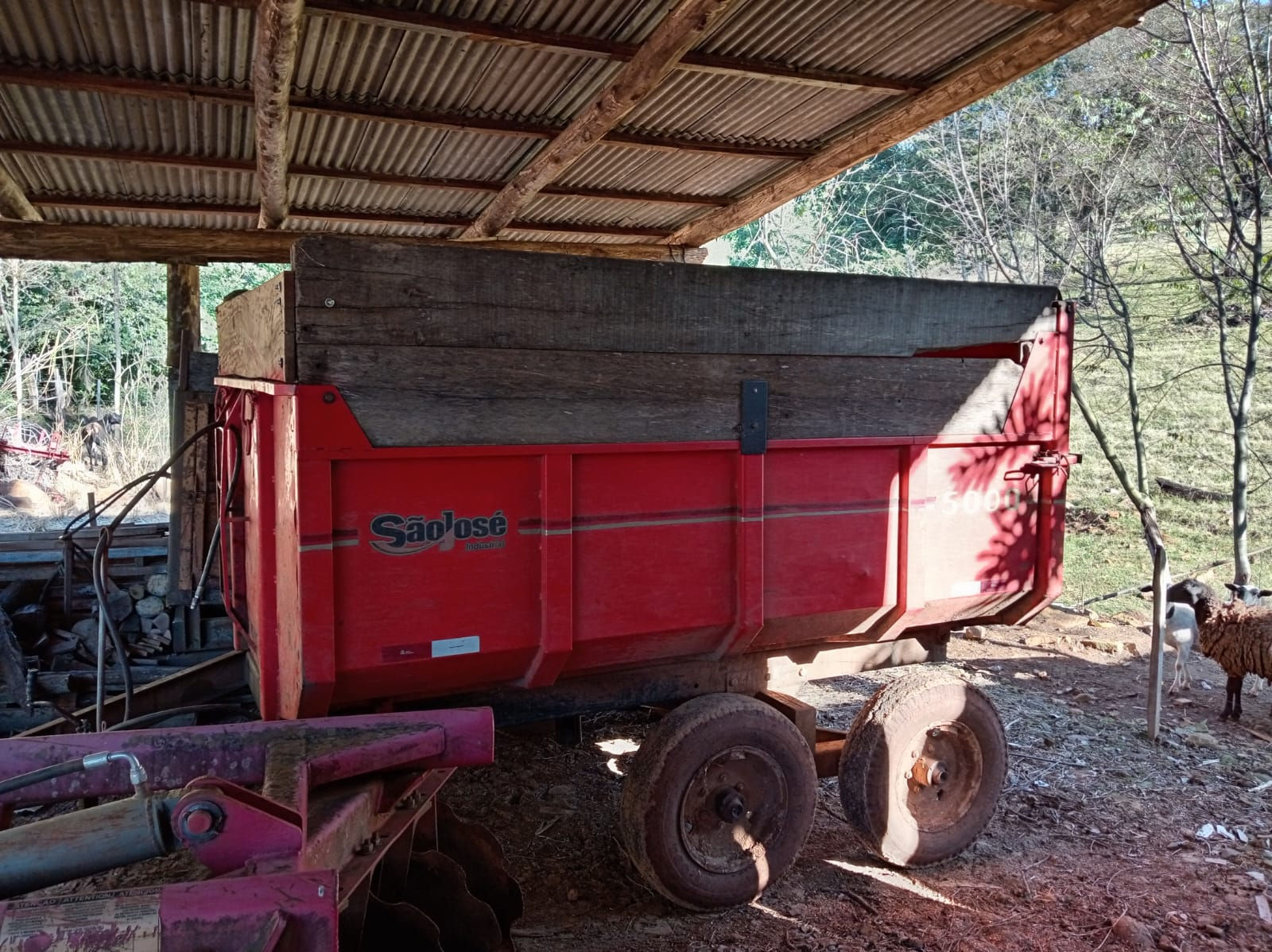 Carreto Basculante São José 5 ton