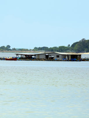 Land Based vs Sea Based Farms in Singapore