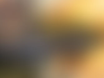 Netherlands Windmills, Waterways, and Wonders