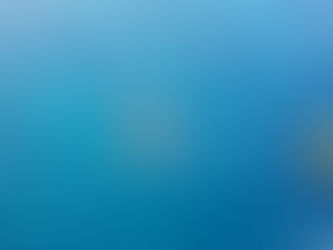 The Maldives Below the Surface Scuba Diving and Snorkeling Adventures