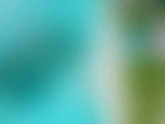 The Maldives Bucket List: Experiences You Can’t Miss