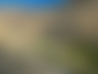 In the Shadow of Giants A Ladakhi Sojourn