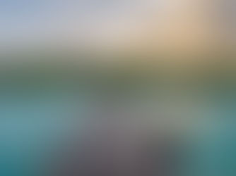 Dive into the Maldives An Oceanic Adventure