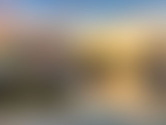 Holland’s Springtime Elegance: From Petals to Palaces