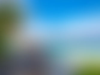 Taste of the Tropics: Must-Try Maldivian Cuisine and Food Tours