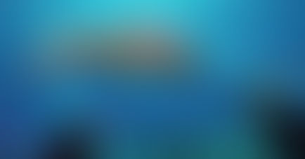 The Ultimate Maldives Family Getaway: 5 Places You Can't Miss