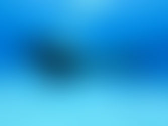 Tropical Depths: Maldives Dive Journey