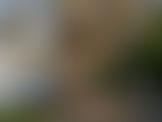 Family-Friendly Activities in the Netherlands Fun for Everyone