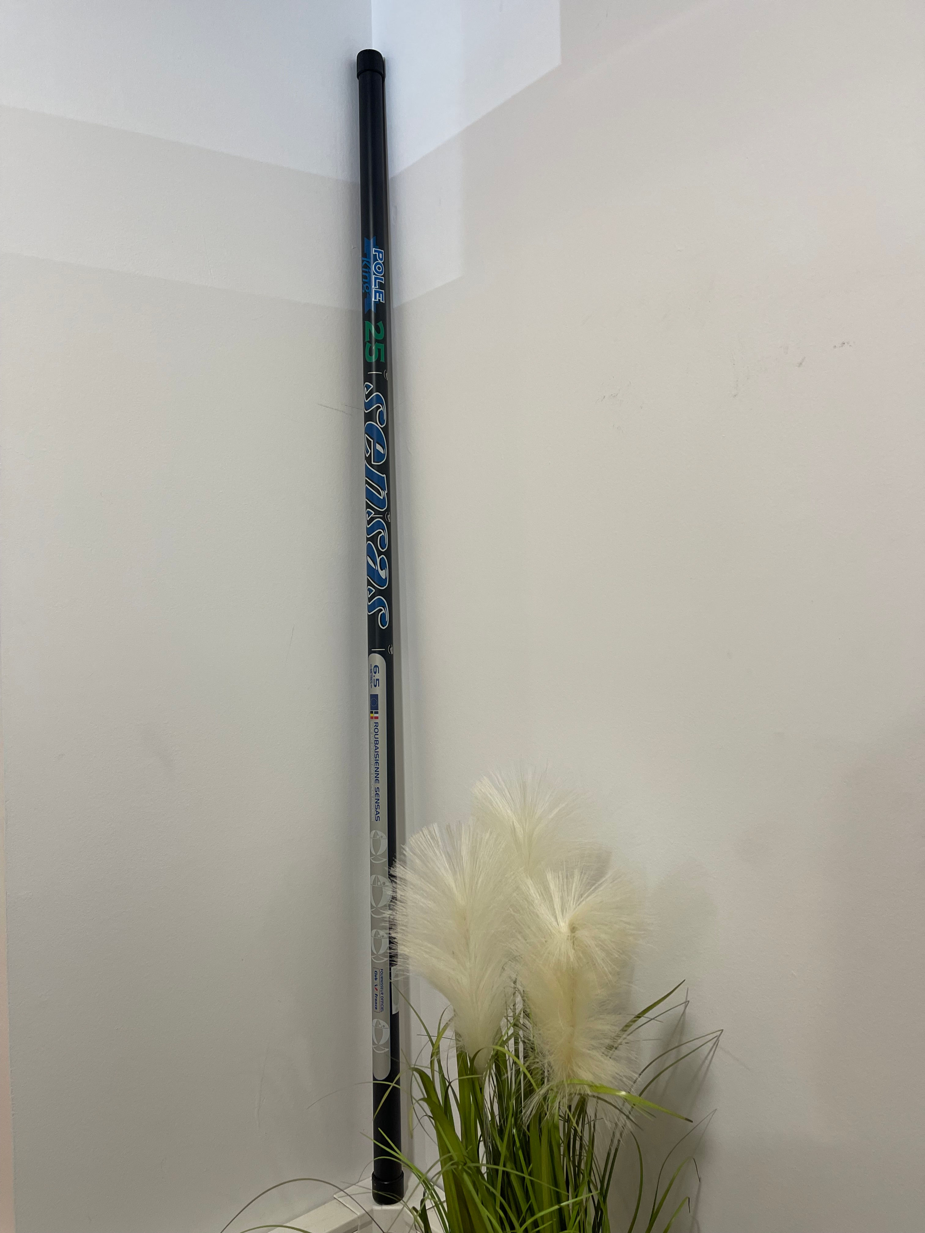 SENSAS Pole King 25 6m50
