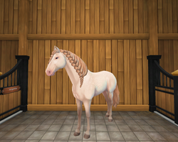 StarStable 2019-12-21 17-01-51