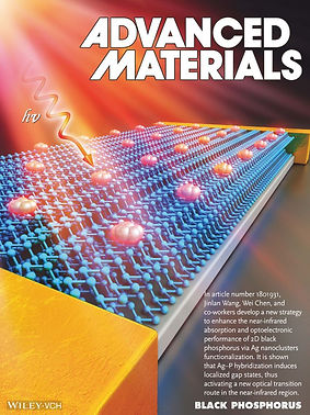 Hu_et_al-2018-Advanced_Materials-1.jpg