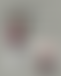 ２０２６年２月２３日（月）