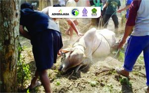 Inilah Pentingnya Jasa Penyembelihan Hewan Bersertifikasi Halal