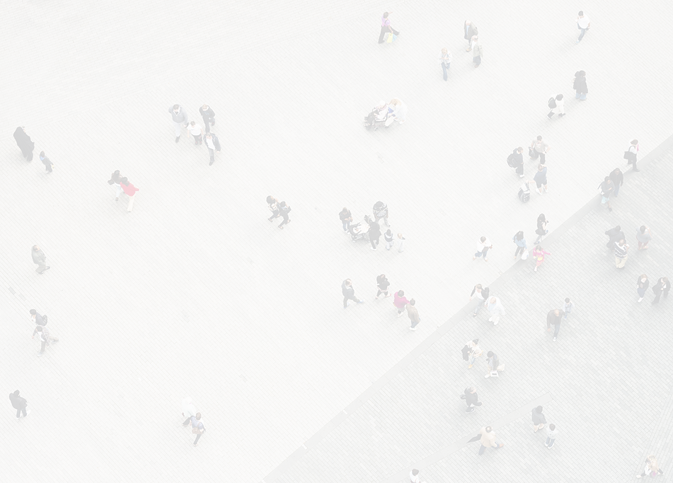 Pedestrians from an Ariel View_edited_edited.png