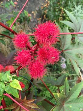 Erkenne die Vielfalt in Dir.