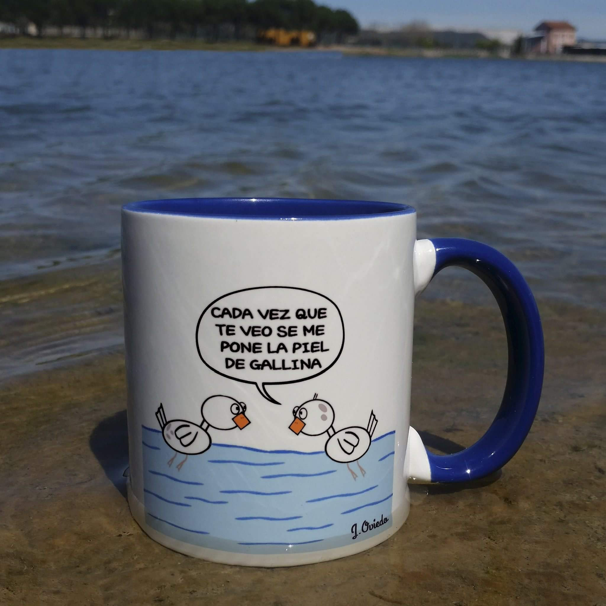 TAZA PATOS
