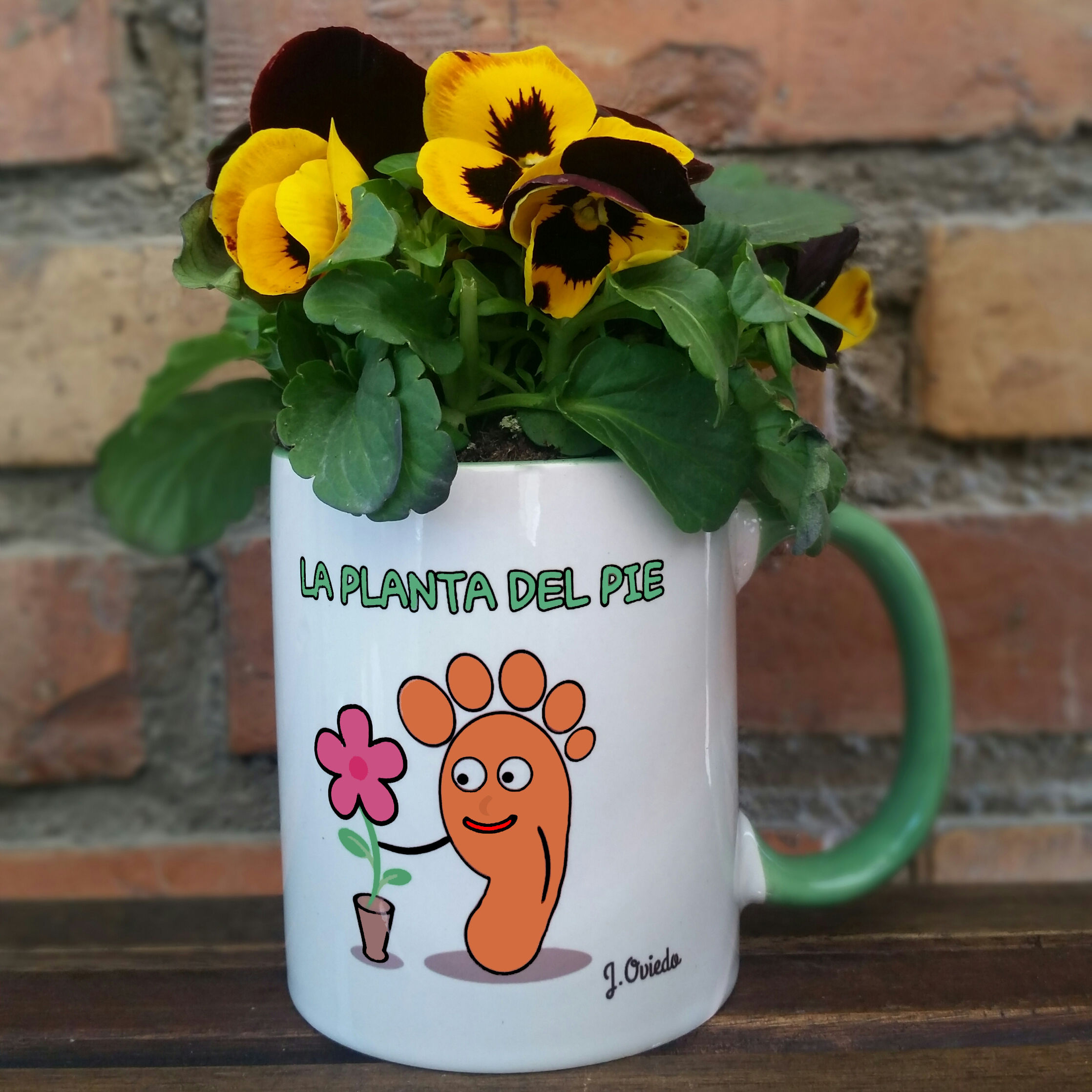 TAZA LA PLANTA DEL PIE