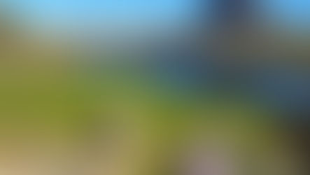 Jour 127 à 134 - 🚲 KM 4136