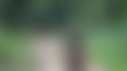 Jour 58 à 61 - 🚲 KM 2352