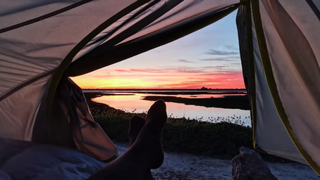 Jour 228 - 🚲 KM 6550