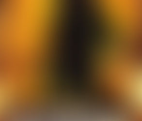 A Revisit of a Disney Favorite: “National Treasure”