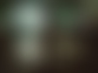 Guillermo del Toro’s “Frankenstein” A Stellar New Re-Telling of the Iconic Story