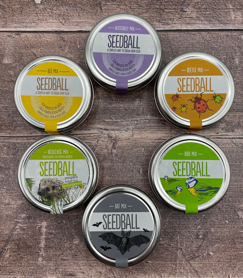 Thumbnail: Seedball Butterfly Mix 
